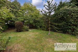 garden- click for photo gallery